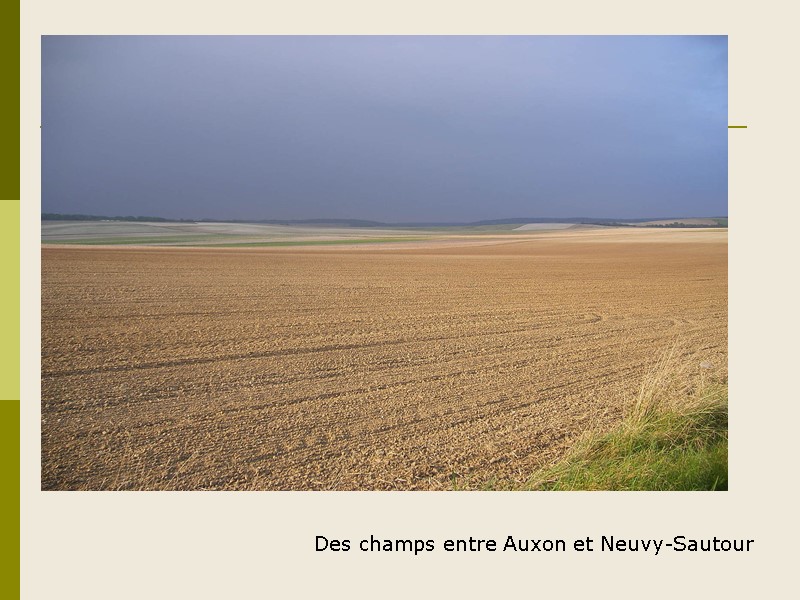 Des champs entre Auxon et Neuvy-Sautour